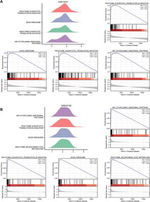 Frontiers Identification Of Novel Gene Signatures And Immune Cell